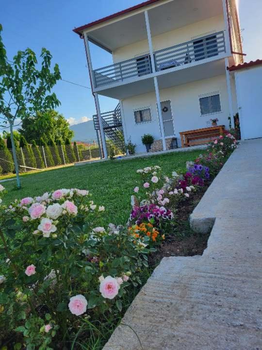 Countryside Apartments First Floor Tríkala Esterno foto